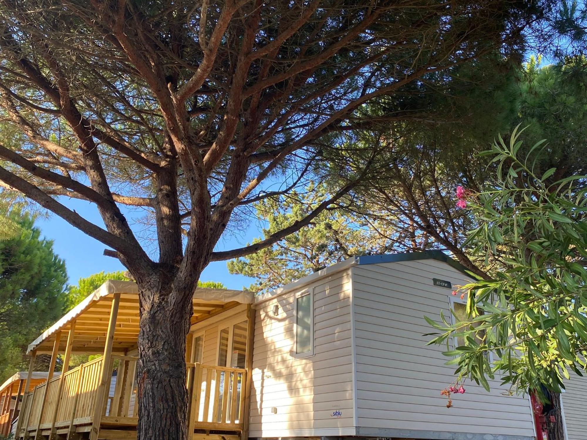 Kokua Presente Mobil Residentiel Toutes Options 4 Etoiles Campsite *